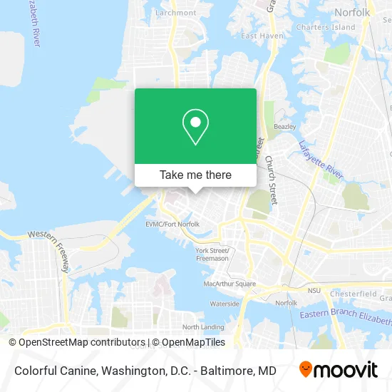 Colorful Canine map