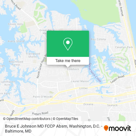 Bruce E Johnson MD FCCP Absm map