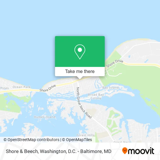 Shore & Beech map