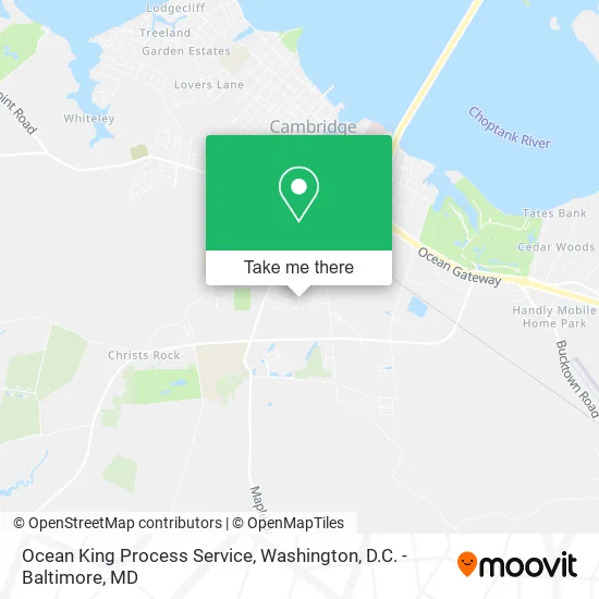 Ocean King Process Service map