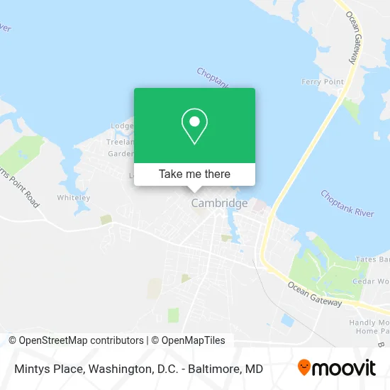 Mintys Place map