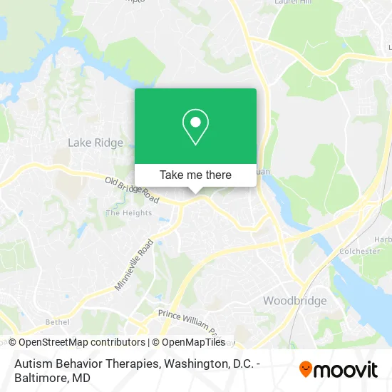 Autism Behavior Therapies map