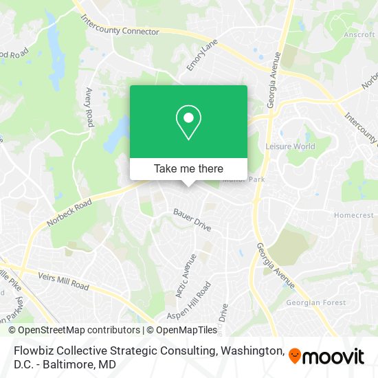 Flowbiz Collective Strategic Consulting map