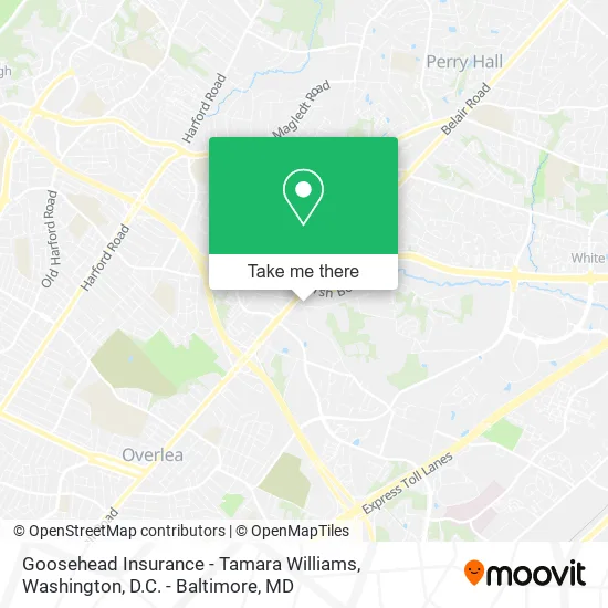 Goosehead Insurance - Tamara Williams map