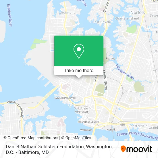 Daniel Nathan Goldstein Foundation map