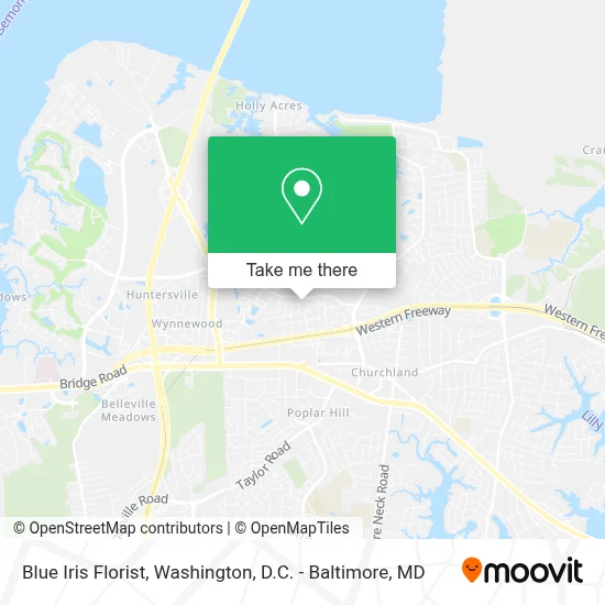 Blue Iris Florist map