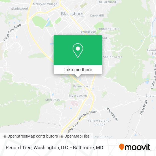 Record Tree map