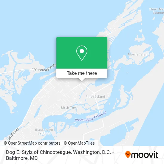 Dog E. Stylz of Chincoteague map