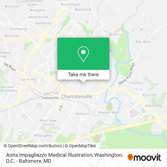 Anita Impagliazzo Medical Illustration map