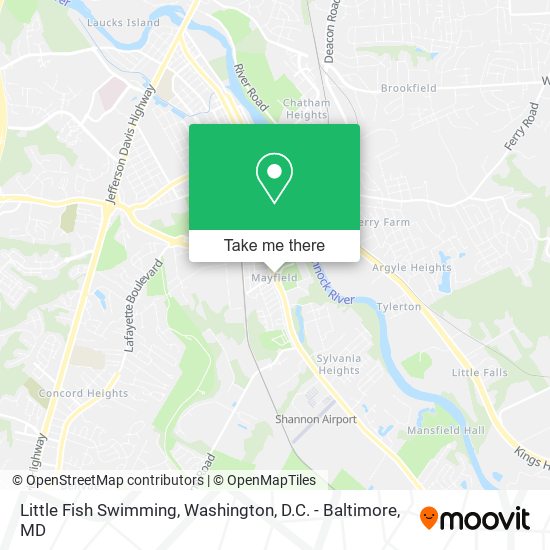 Little Fish Swimming map
