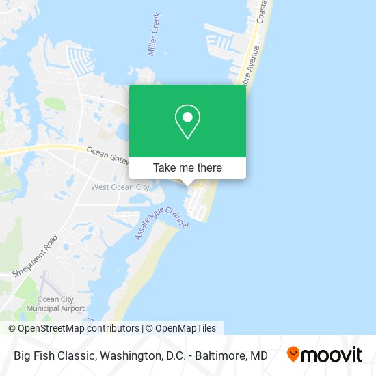 Big Fish Classic map