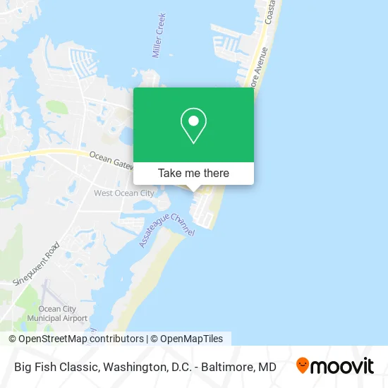 Big Fish Classic map
