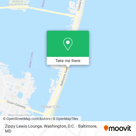 Zippy Lewis Lounge map