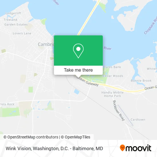 Wink Vision map