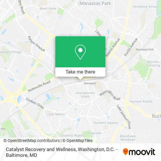 Catalyst Recovery and Wellness map