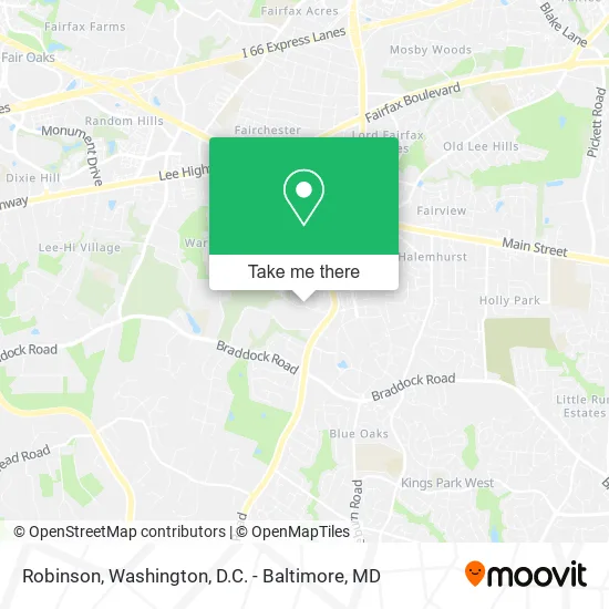Robinson map