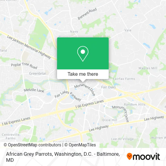 African Grey Parrots map