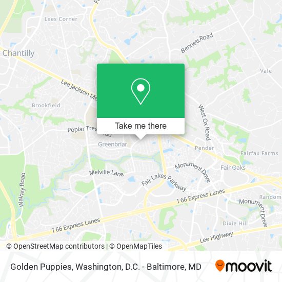 Golden Puppies map