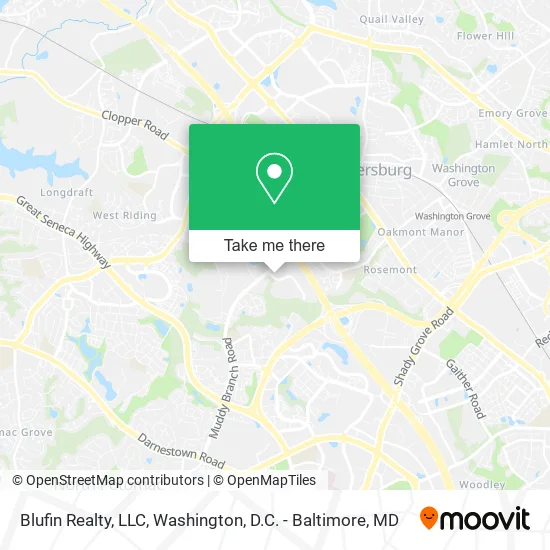 Blufin Realty, LLC map