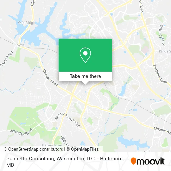 Palmetto Consulting map