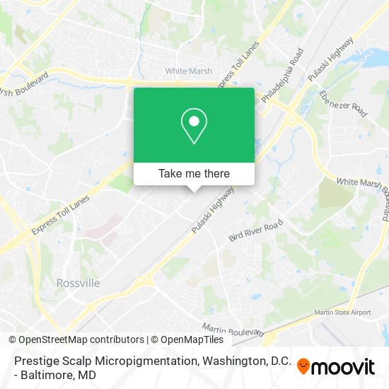 Prestige Scalp Micropigmentation map