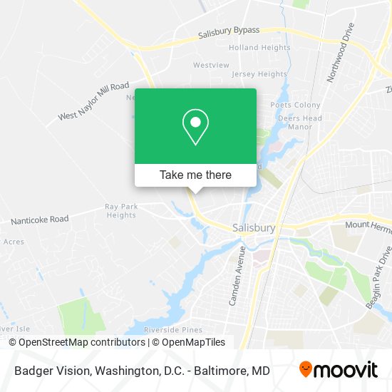 Badger Vision map