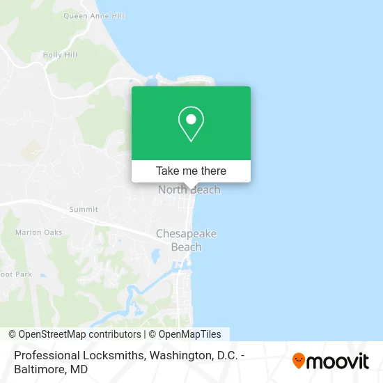 Professional Locksmiths map