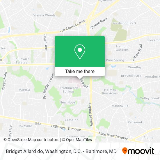 Bridget Allard do map