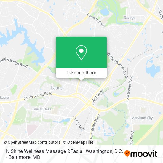 N Shine Wellness Massage &Facial map