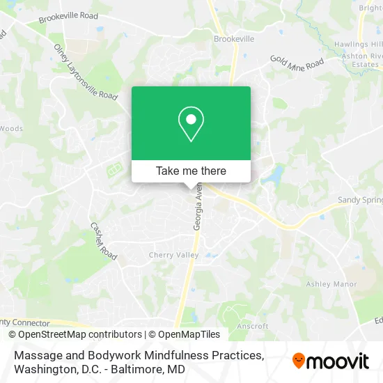 Mapa de Massage and Bodywork Mindfulness Practices