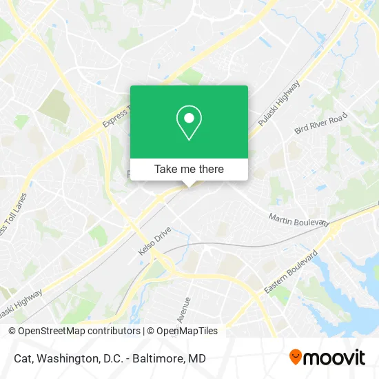 Cat map
