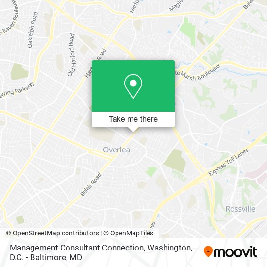 Management Consultant Connection map