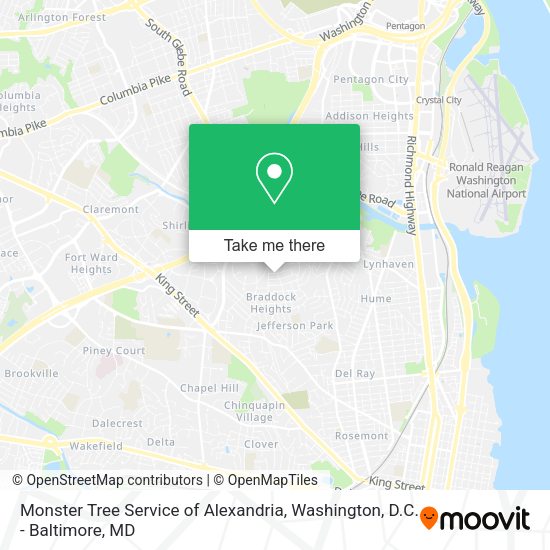 Monster Tree Service of Alexandria map