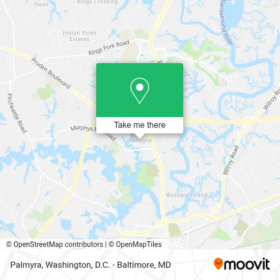 Palmyra map