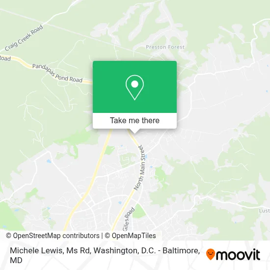 Michele Lewis, Ms Rd map