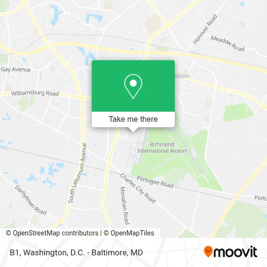 B1 map