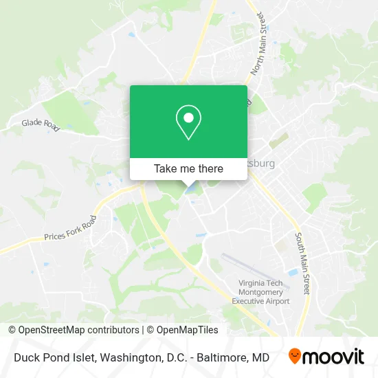 Duck Pond Islet map