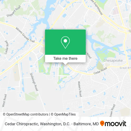 Cedar Chiropractic map