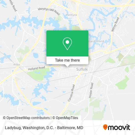 Ladybug map