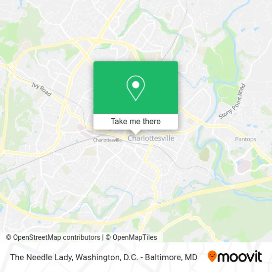 The Needle Lady map
