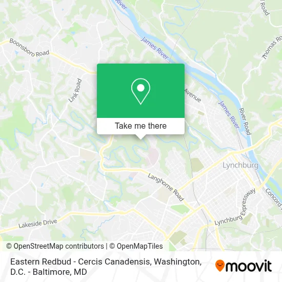 Eastern Redbud - Cercis Canadensis map