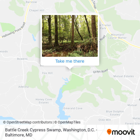 Battle Creek Cypress Swamp map
