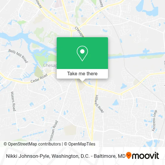 Nikki Johnson-Pyle map