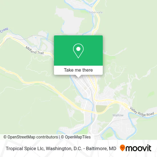 Tropical Spice Llc map