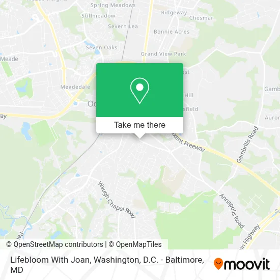 Lifebloom With Joan map
