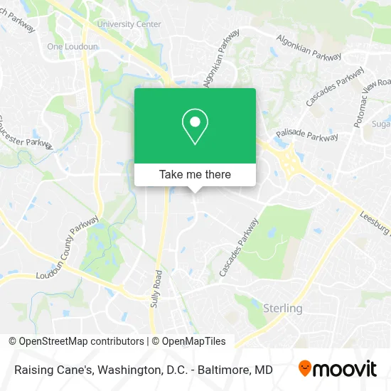 Raising Cane's map