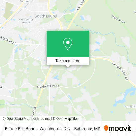 B Free Bail Bonds map