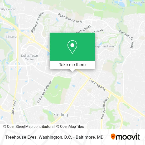 Treehouse Eyes map