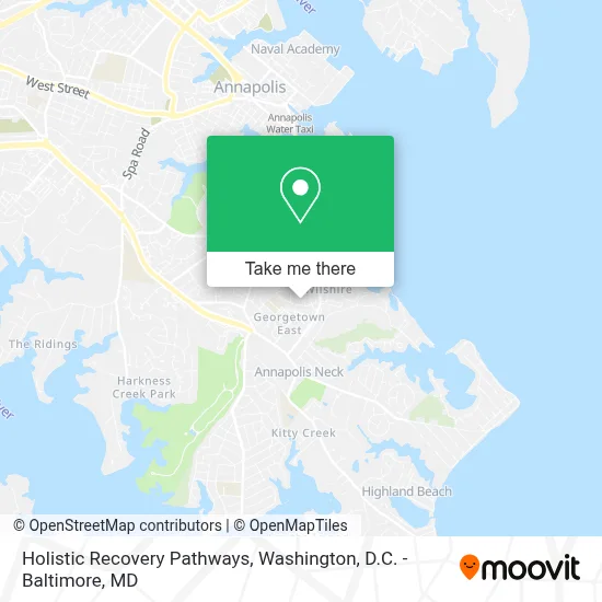 Holistic Recovery Pathways map
