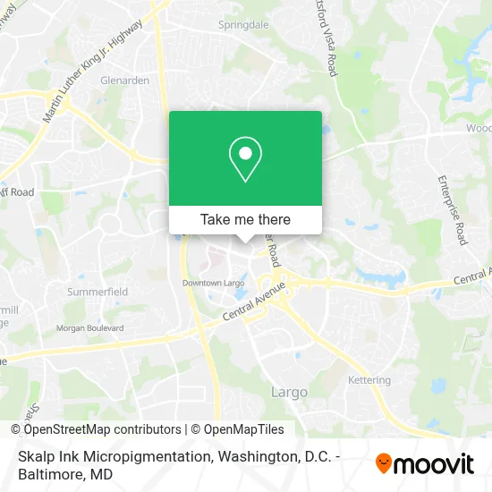 Skalp Ink Micropigmentation map